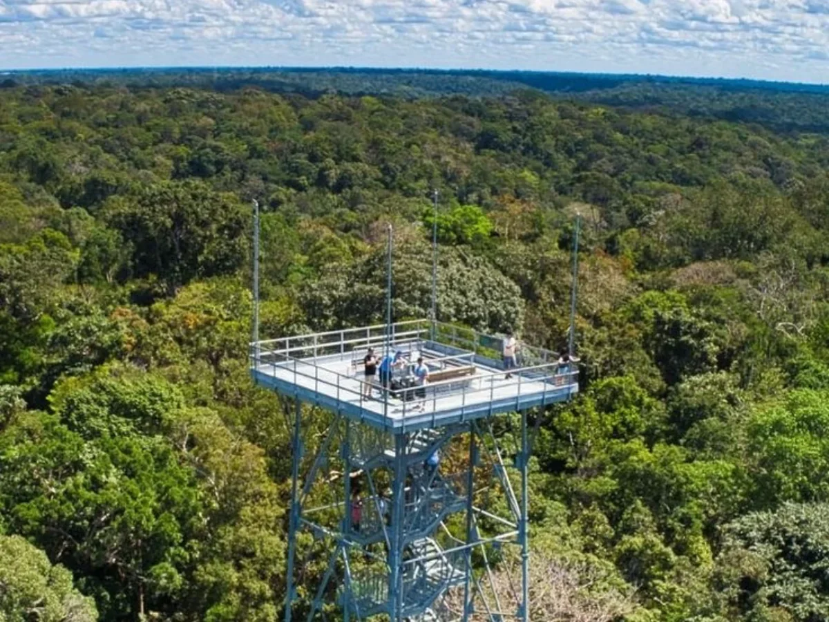 Acerca de Experiencia - Tour por la ciudad Inverno