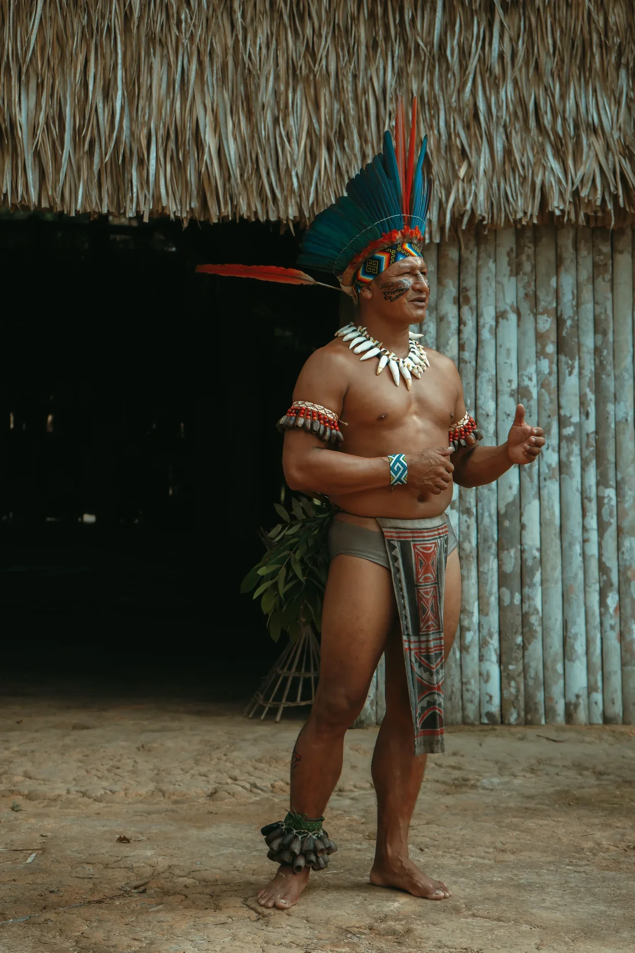 Amazon Summer Beach 1