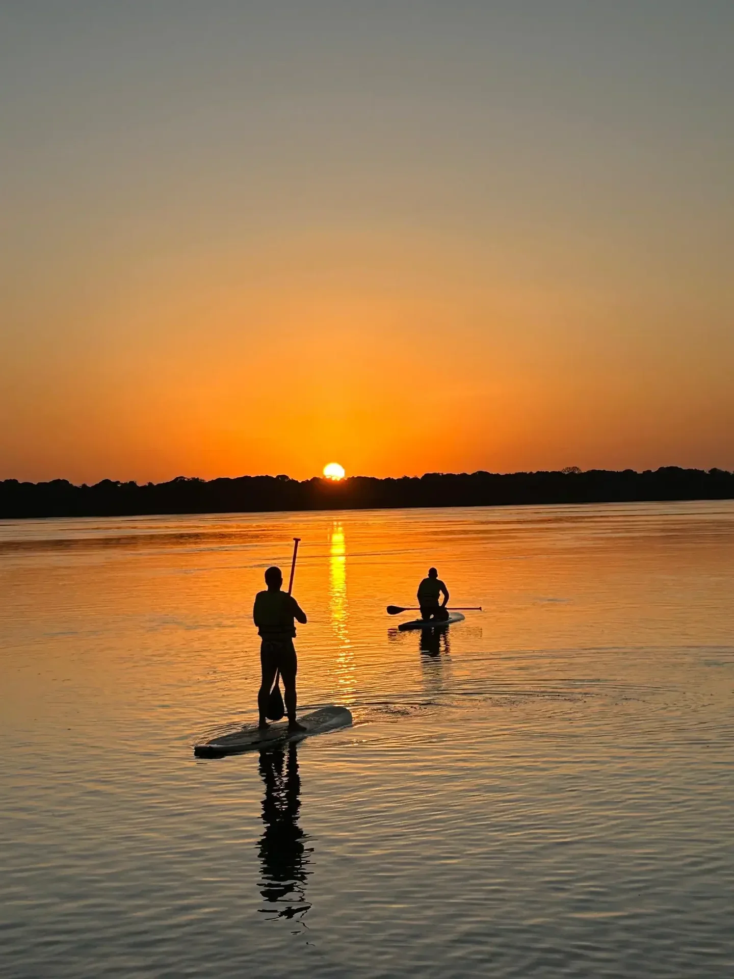Peixes-boi na Amazônia