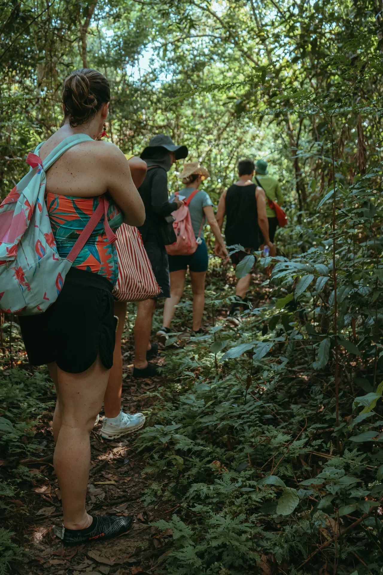 Pink river dolphins in Novo Airão