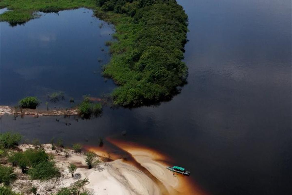 Madadá Inverno — Arquipélago de Anavilhanas