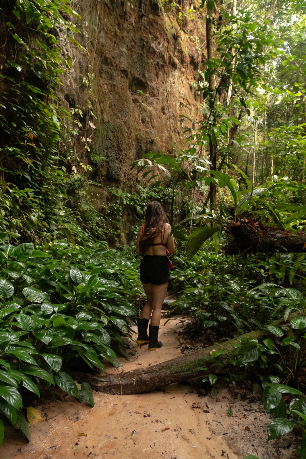 Fotos da expedição